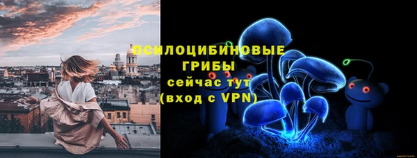 винт Радужный