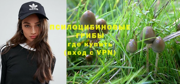 бошки Тихвин