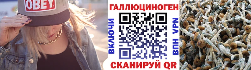 Псилоцибиновые грибы прущие грибы  darknet клад  Златоуст 