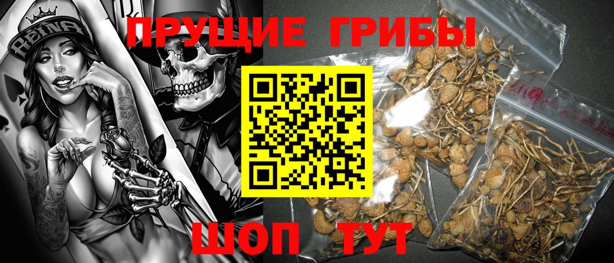 Псилоцибиновые грибы прущие грибы Златоуст