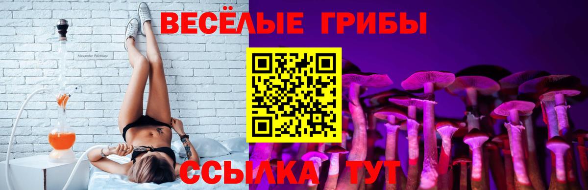 Златоуст  Псилоцибиновые грибы ЛСД  Вход с VPN 